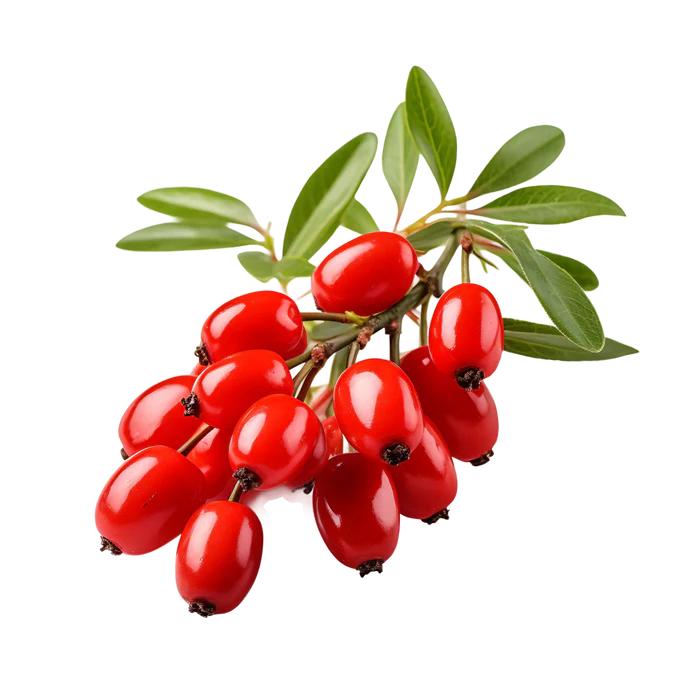 Berberine Extract